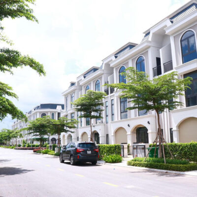 Nhiều cây xanh