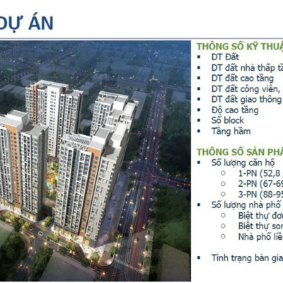 Thông tin dự án
