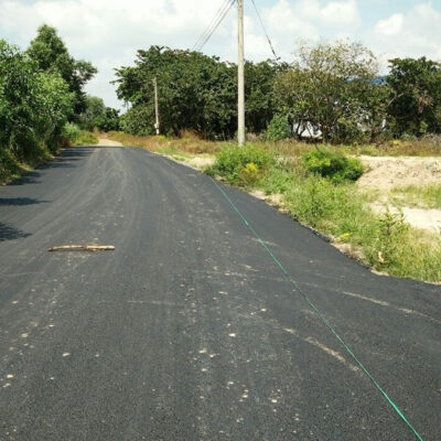 Diện tích cây xanh rộng lớn