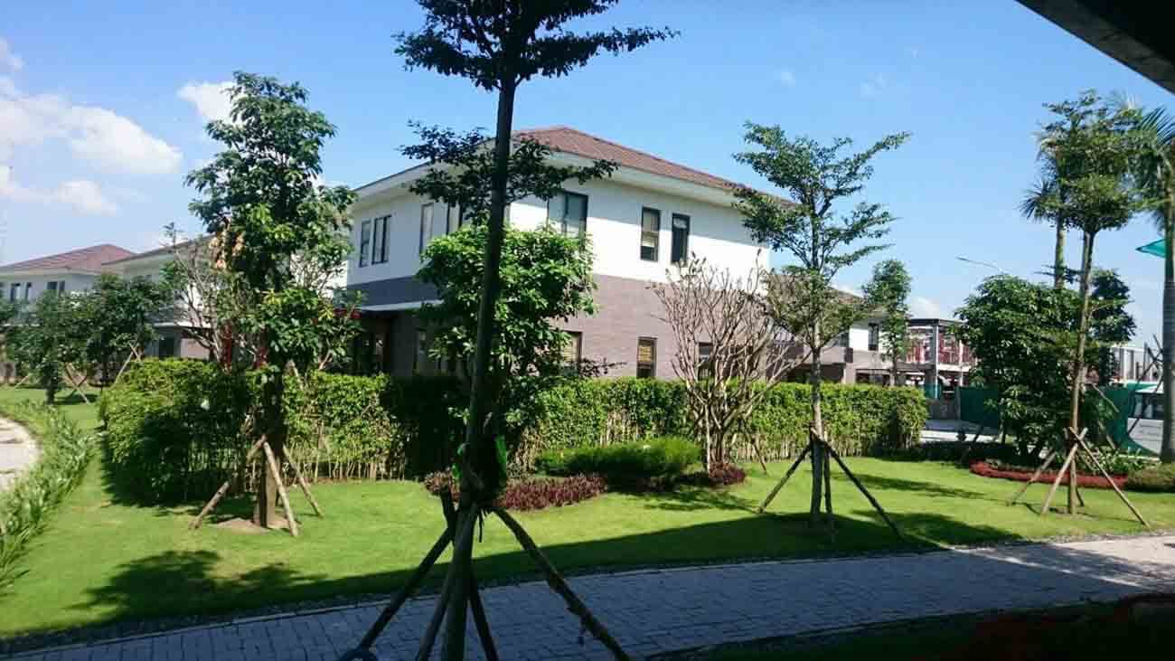 Nhiều cây xanh nội khu