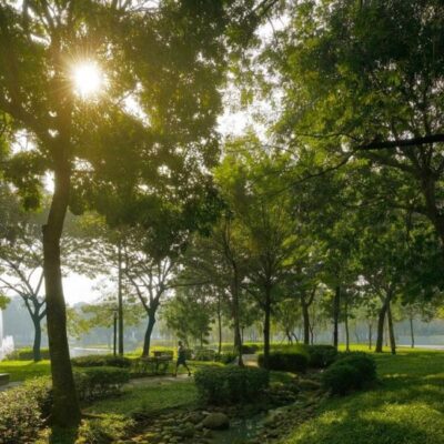 Tiện ích đặc biệt của biệt thự Spring Ville